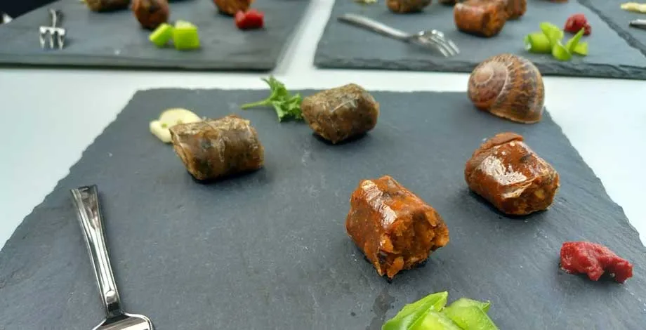Produit de l’équipe ESCARGOUT – des saucisses à base de chair d’escargot ! (Ecotrophélia 2024) 